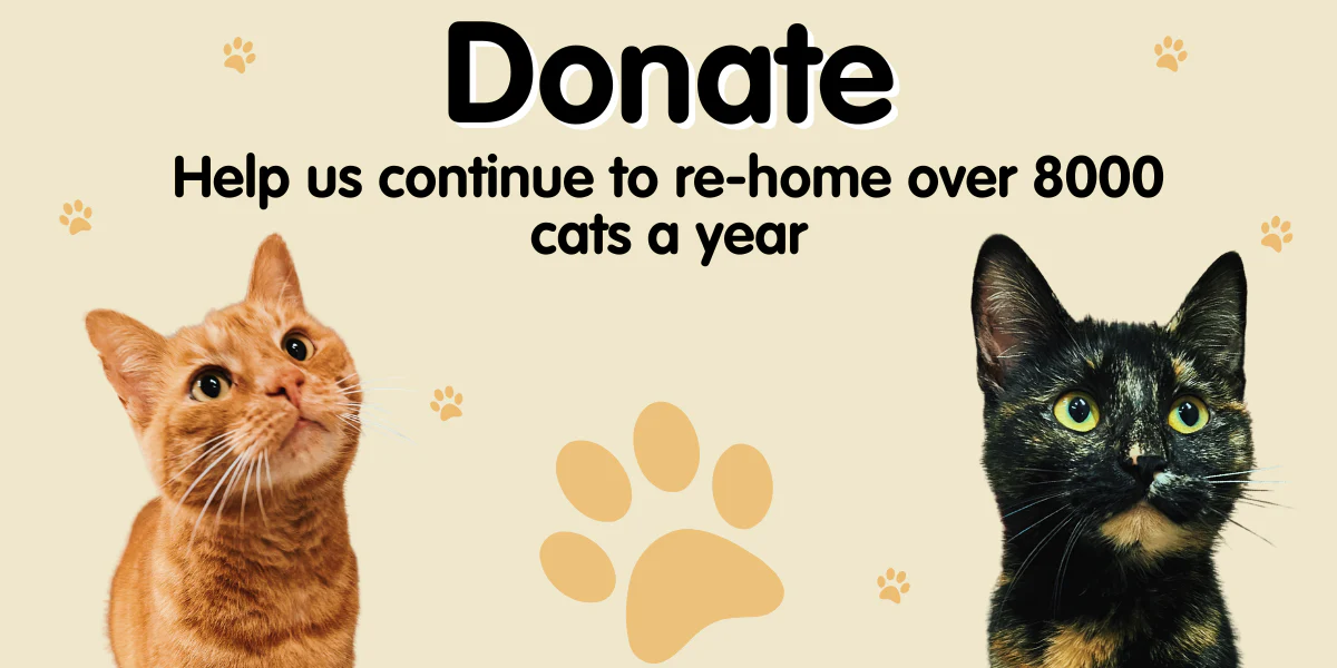 Shop Style, Support Rescue Efforts