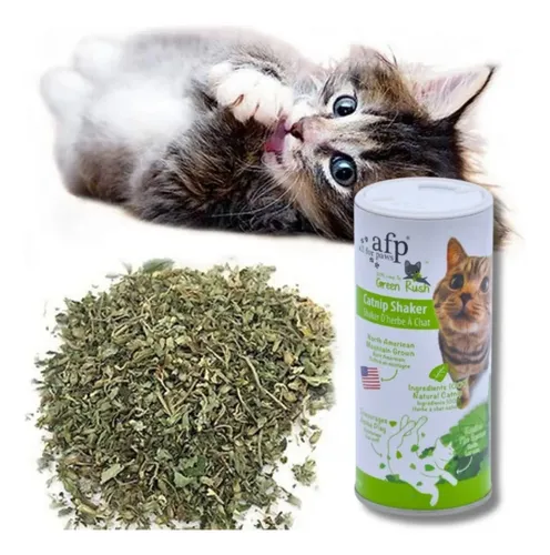 afp Catnip Shaker 50gm - Image 2