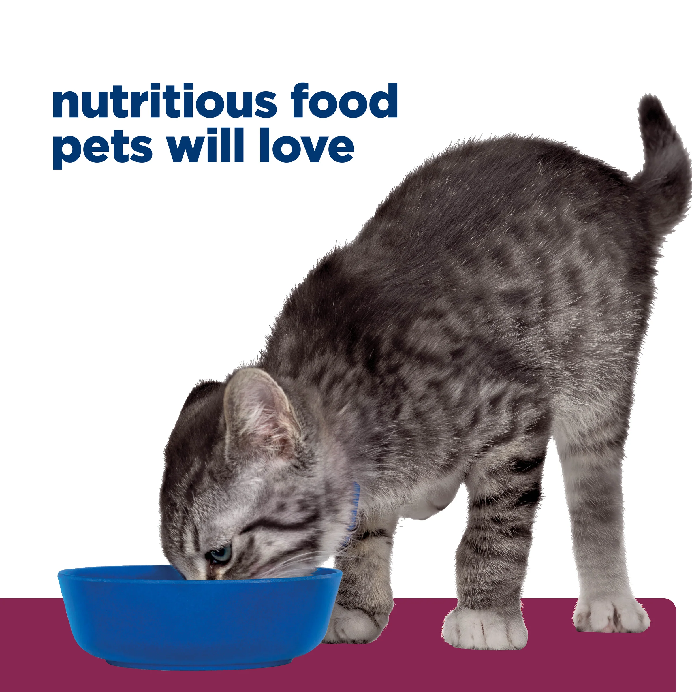 Hills Prescription Diet i/d Kitten 1.8kg - Image 12