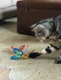Yeowww! Butterfly with Catnip - Purple - Image 2