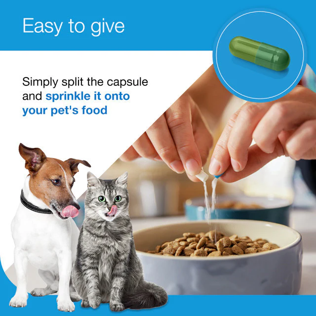 Zylkene Plus 225mg Medium Dog - Image 3
