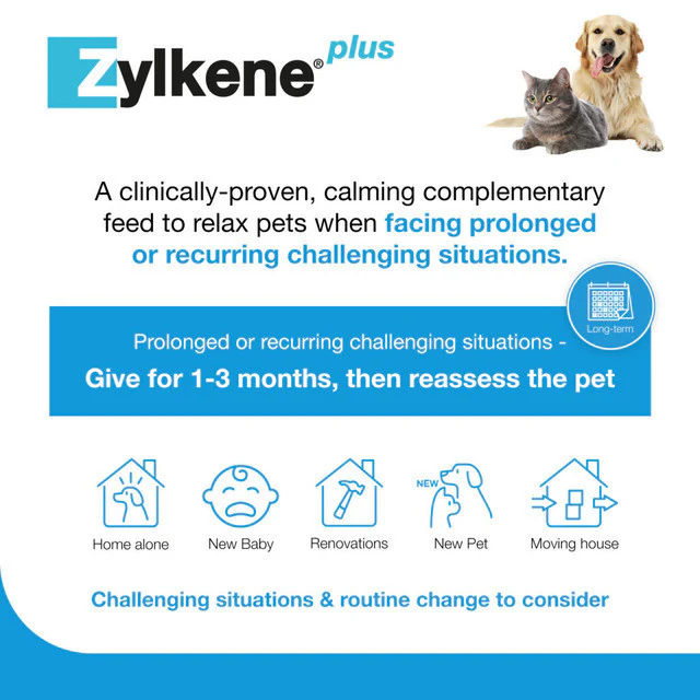 Zylkene Plus 225mg Medium Dog - Image 5